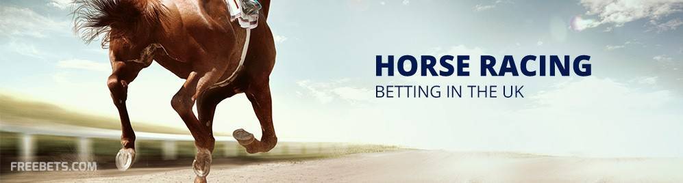 Horse racing betting ny